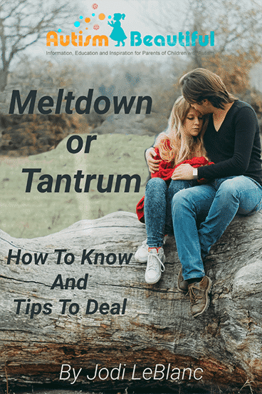 Meltdown or Tantrum?